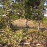 allargamento pascoli (2)